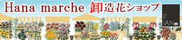 花マルシェ卸し