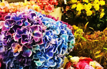 造花販売・卸販売